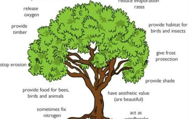The benefits of trees
