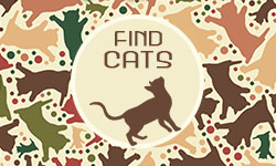 Find Cats